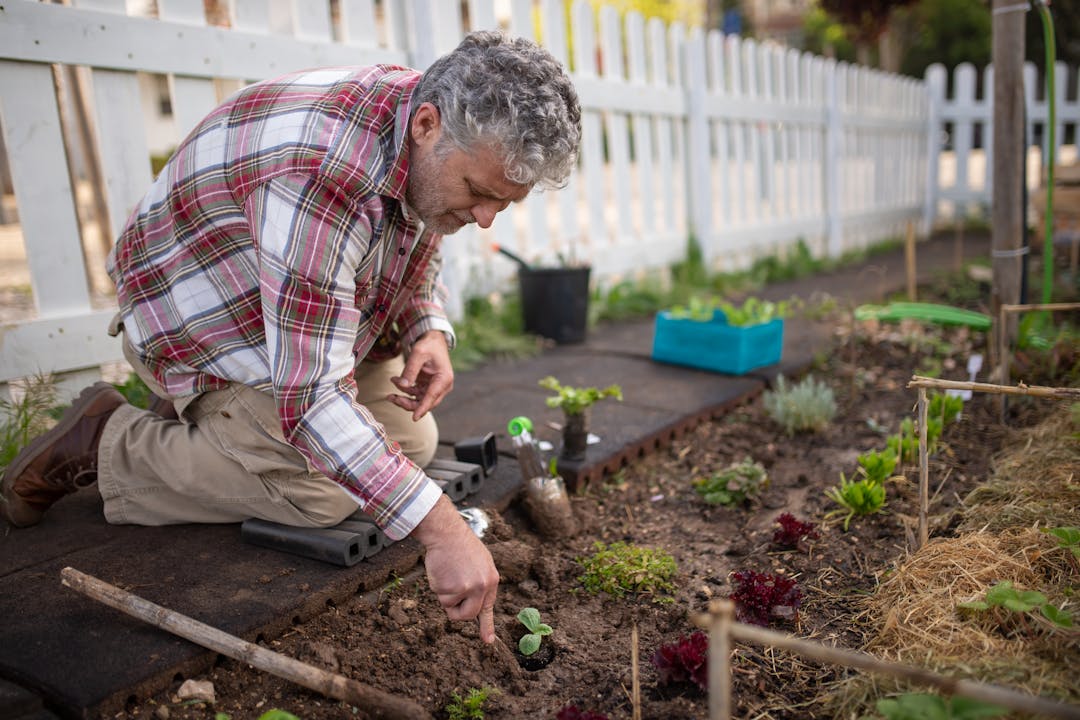 Man Gardening